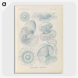 2-13_Ernst-Haeckel_picture-crop