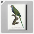 2-13_Francois-Levaillant_canvas