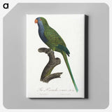 2-13_Francois-Levaillant_canvas