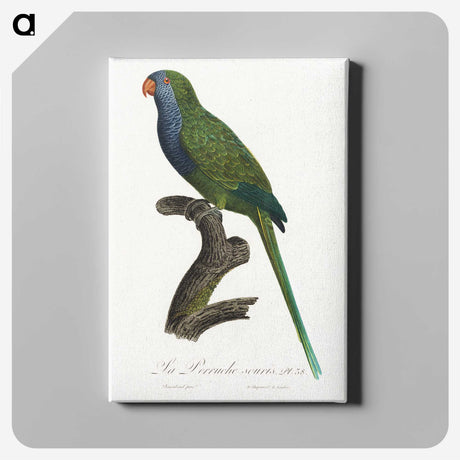 2-13_Francois-Levaillant_canvas