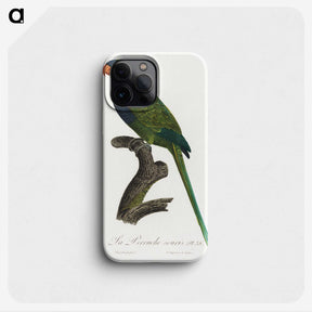 2-13_Francois-Levaillant_phone