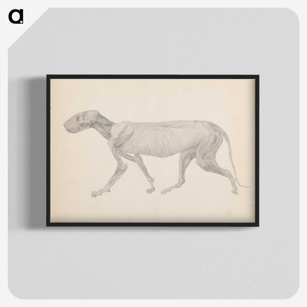 2-13_George-Stubbs_blk-crop