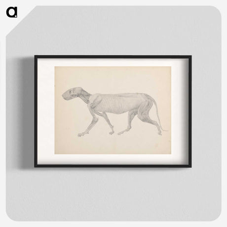 2-13_George-Stubbs_blk