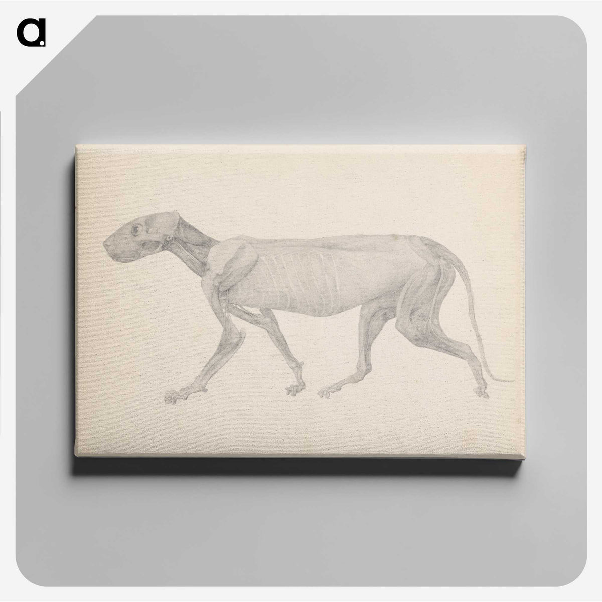 2-13_George-Stubbs_canvas