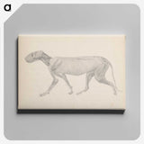2-13_George-Stubbs_canvas