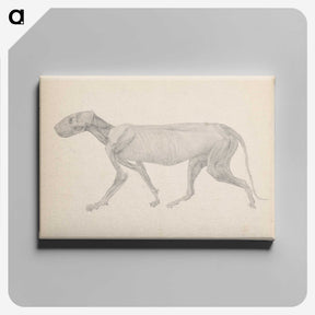 2-13_George-Stubbs_canvas