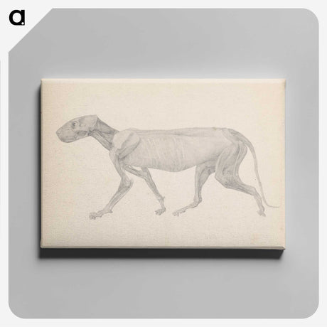 2-13_George-Stubbs_canvas
