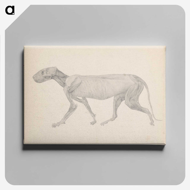 2-13_George-Stubbs_canvas