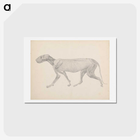 2-13_George-Stubbs_hagaki