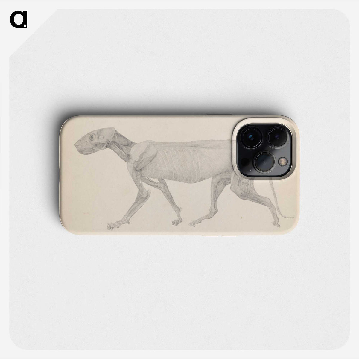 2-13_George-Stubbs_phone