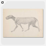 2-13_George-Stubbs_picture-crop
