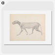 2-13_George-Stubbs_picture