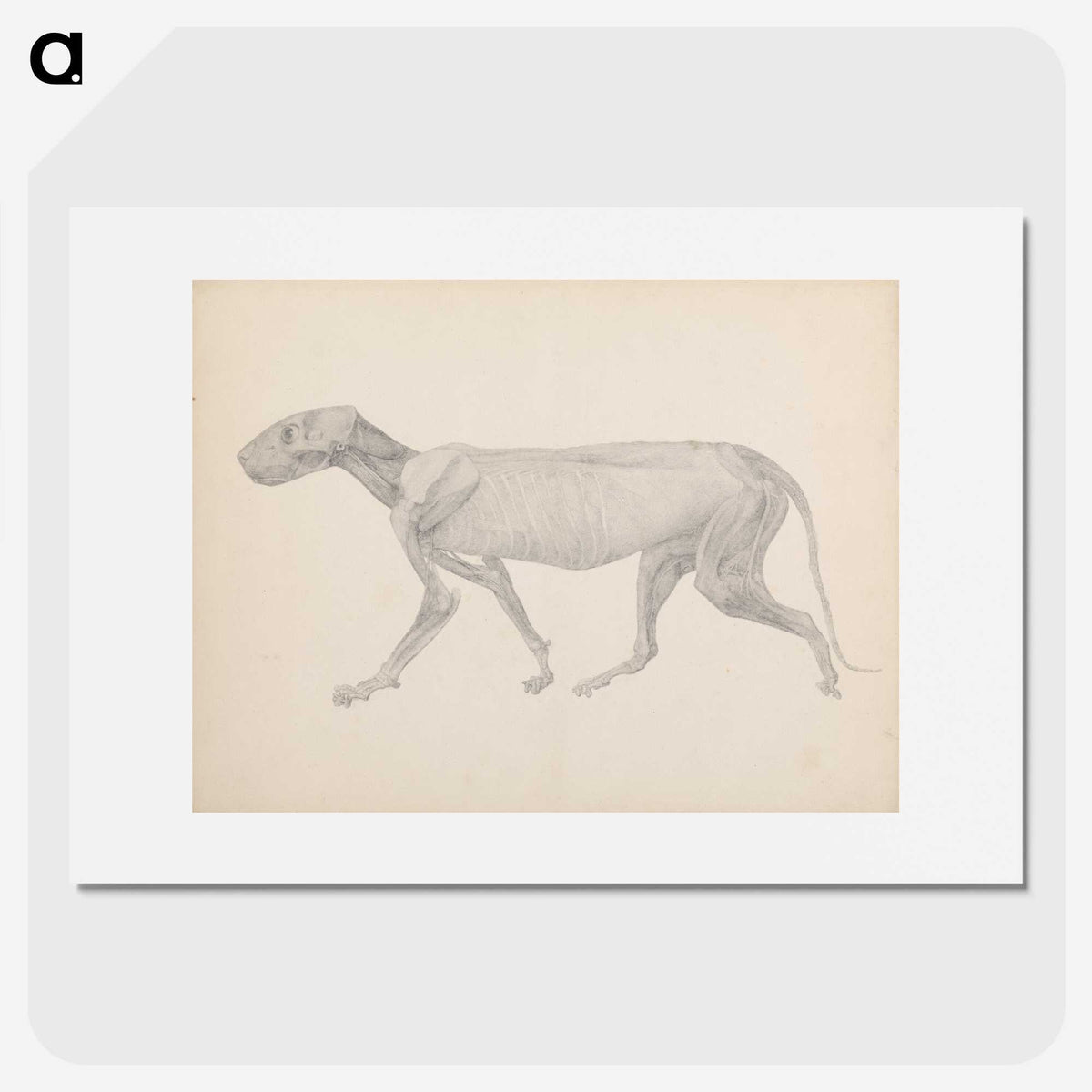 2-13_George-Stubbs_picture