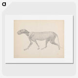 2-13_George-Stubbs_picture