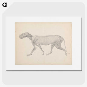 2-13_George-Stubbs_picture