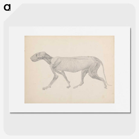 2-13_George-Stubbs_picture