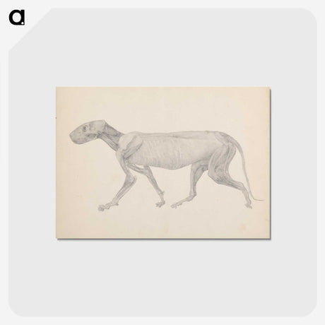 2-13_George-Stubbs_postcard