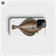 2-13_Ichtyologie-ou-Histoire-naturelle_phone