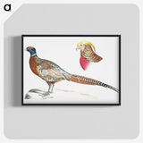 2-13_Indian-Zoology_blk-crop