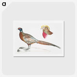 2-13_Indian-Zoology_hagaki