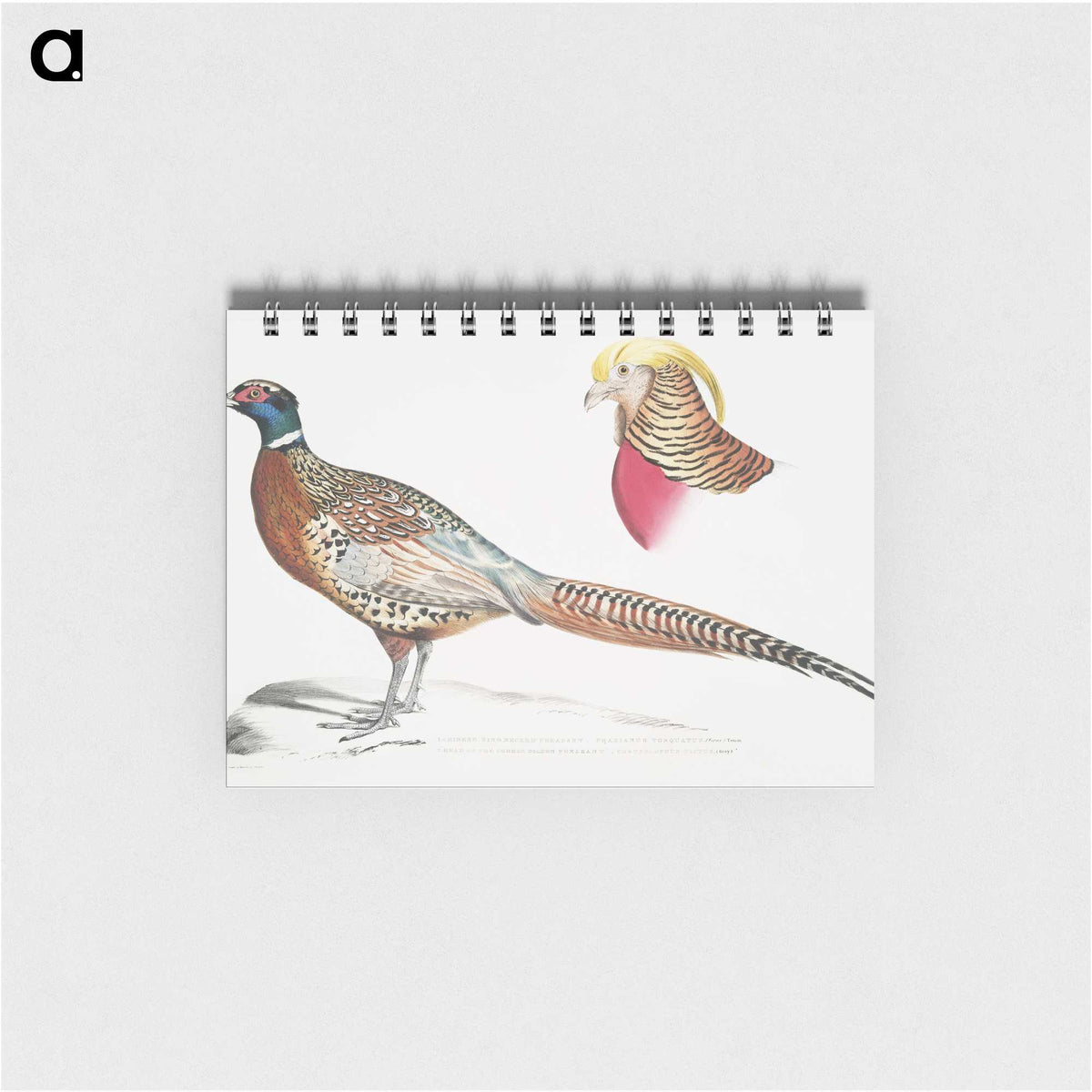 2-13_Indian-Zoology_memo