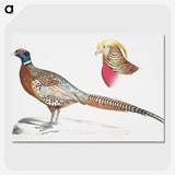 2-13_Indian-Zoology_picture-crop
