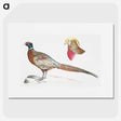 2-13_Indian-Zoology_picture