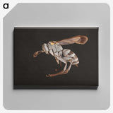 2-13_Insects-Unlocked-Project_canvas