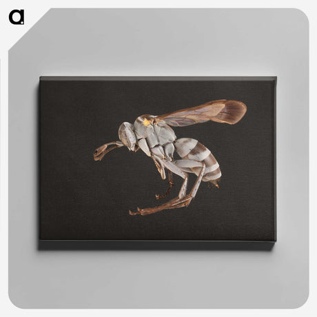 2-13_Insects-Unlocked-Project_canvas
