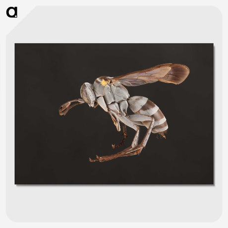 2-13_Insects-Unlocked-Project_picture-crop