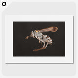 2-13_Insects-Unlocked-Project_picture