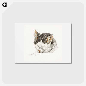 アートポストカード-Sketch of a cat - ジャン ベルナール Postcard.