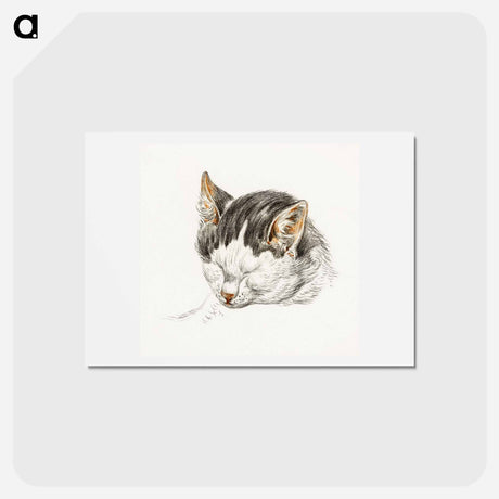 アートポストカード-Sketch of a cat - ジャン ベルナール Postcard.