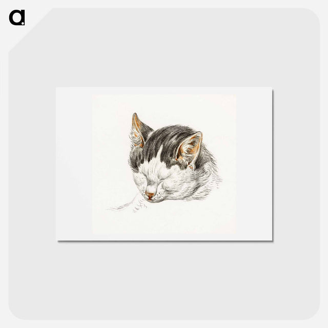 アートポストカード-Sketch of a cat - ジャン ベルナール Postcard.