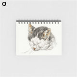 2-13_Jean-Bernard_memo
