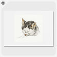 2-13_Jean-Bernard_picture