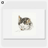 2-13_Jean-Bernard_picture
