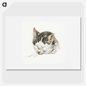 2-13_Jean-Bernard_picture