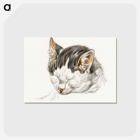 アートポストカード-Sketch of a cat - ジャン ベルナール Postcard.