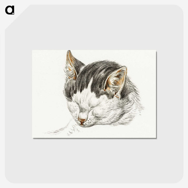 2-13_Jean-Bernard_postcard