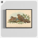 2-13_John-Gould_blk-crop
