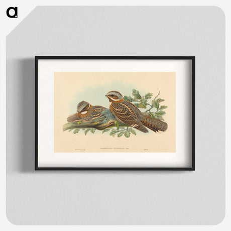 2-13_John-Gould_blk