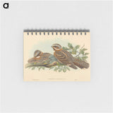 2-13_John-Gould_memo