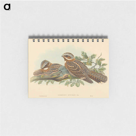2-13_John-Gould_memo