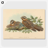 2-13_John-Gould_picture-crop