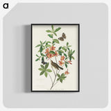 2-13_John-James-Audubon_blk-crop