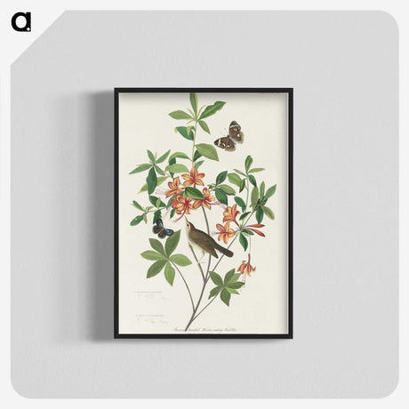 2-13_John-James-Audubon_blk-crop