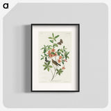 2-13_John-James-Audubon_blk
