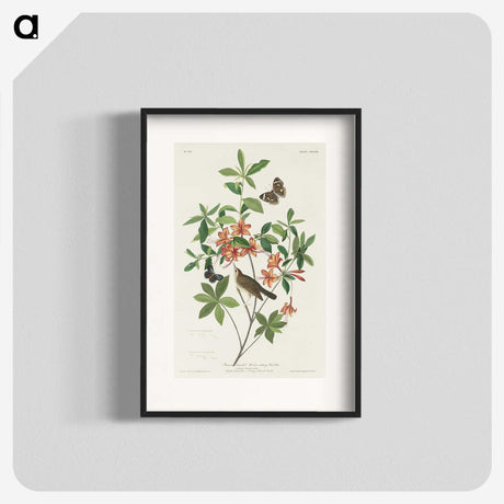 2-13_John-James-Audubon_blk