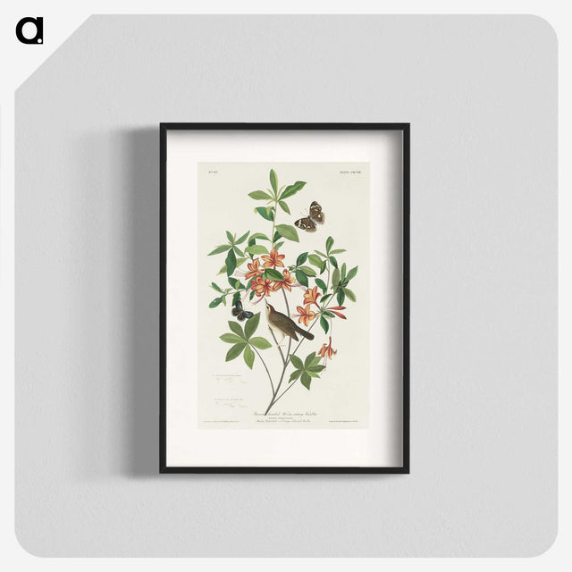 2-13_John-James-Audubon_blk